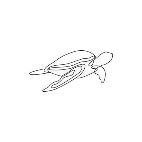 One Line Drawing Sea Animals, Sea Turtle Tattoo Linework, Sea Life Tattoos Simple, Single Line Turtle Tattoo, One Line Turtle Tattoo, Sea Turtle Line Tattoo, Sea Turtle Line Art, Turtle Line Tattoo, One Line Turtle