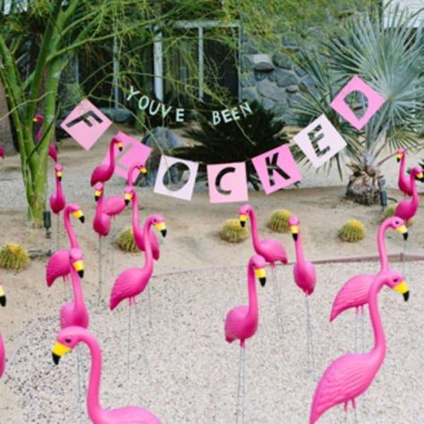 April fool's day prank, a flock of pink plastic flamingos in a front yard with a sign saying you've been flocked Yard Pranks, You've Been Flocked, Pink Flamingos Lawn Ornaments, Funny April Fools Pranks, April Fool's Prank, Prank Ideas, Senior Pranks, April Fools Pranks, Flamingo Love