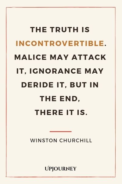 Social Media Quotes Truths, Democracy Quotes, People Quotes Truths, Lesson Learned Quotes, Step Mom Quotes, Winston Churchill Quotes, Good Quotes, Crazy Girl Quotes, Karma Quotes