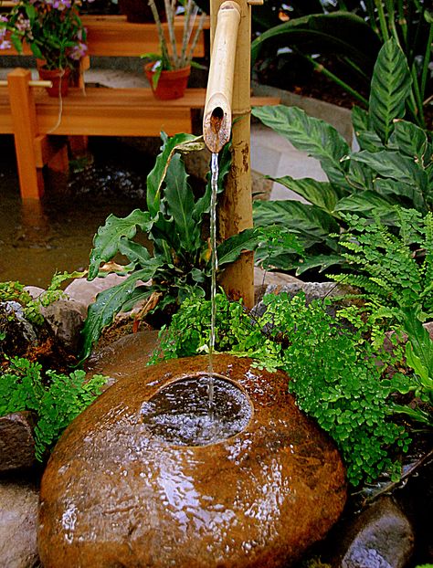 #3 Mini Zen Garden Design, Adachi Museum Of Art, Scenery Ideas, Serenity Garden, Mini Zen Garden, Zen Garden Design, Garden Water Feature, Fountain Design, Japanese Garden Design