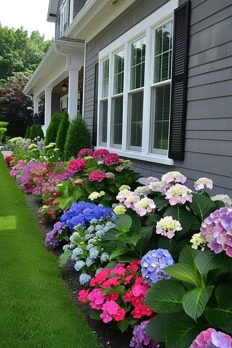 Flower Beds In Front Of House Hydrangea, Flower Bed Designs Layout, Diy Front Yard, Hydrangea Landscaping, Tattoo Plant, Flower Bed Designs, Front Garden Landscape, Small Front Yard Landscaping, Garden Flower Beds