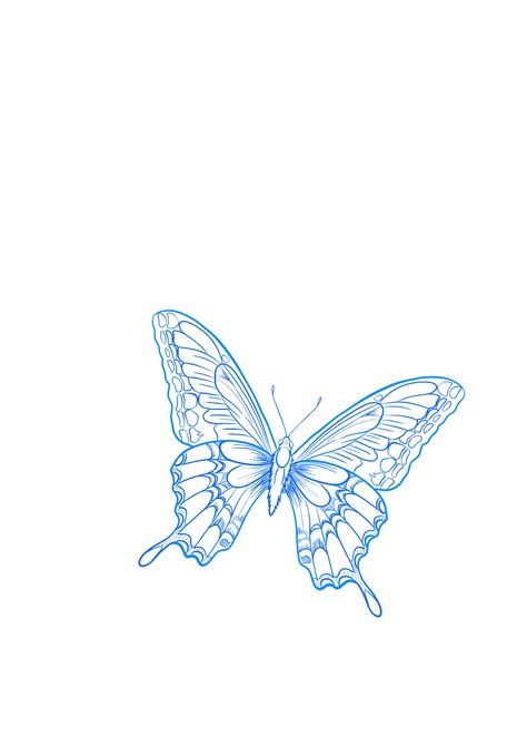 Blue Outline Butterfly Tattoo, Light Blue Butterfly Tattoo, Blue Outline Tattoo, Blue Linework Tattoo, Half A Butterfly Wing Tattoo, Black And Blue Butterfly Tattoo, Blue Morpho Butterfly Tattoo, Blue Butterfly Drawing, Butterfly Tattoo Outline