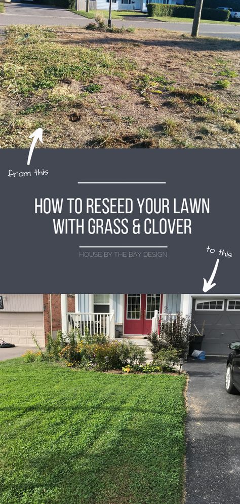 How to Reseed Your Lawn with Grass and MicroClover Garden Bed Backyard, Best Grass Seed Lawn, Lawn Grass Types, Backyard Garden Designs, Backyard Garden Design Ideas, Best Grass Seed, Backyard Garden Inspiration, Backyard Garden Landscaping, Front Yard Flower Bed