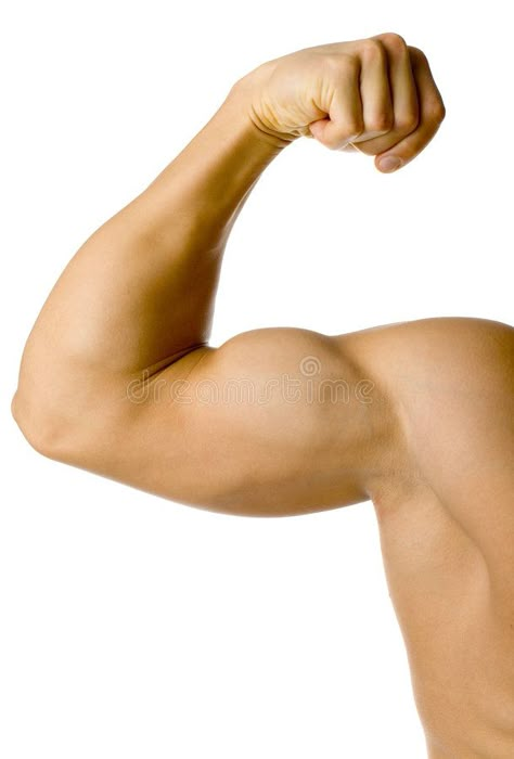 Flexing Muscles Pose Reference, Arm Study, Elbow Anatomy, Arm References, Arm Anatomy, Anatomy Practice, Nutribullet Recipes, Models To Draw, Being Fit