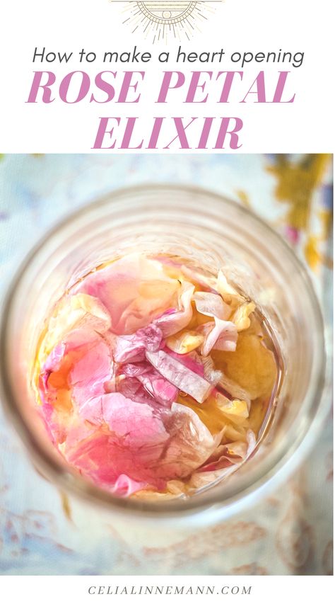 Rose Tea Recipe, Elixer Recipes, Calming Food, Elixir Recipe, Tea Blending, Liquor Recipes, Herbal Elixir, Bath Bomb Recipes, Herbal Tinctures