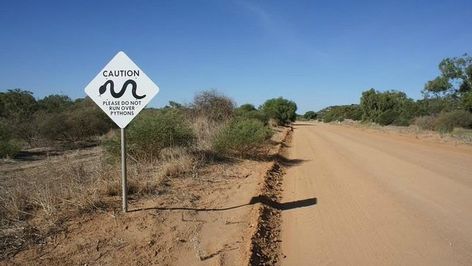 Funny Road Signs That Only Exist In Australia Australian Road Signs, Funny Road Signs, Road Signs, Sense Of Humor, Unique Animals, Life Goals, Natural Wonders, Nature Beauty, Penguins