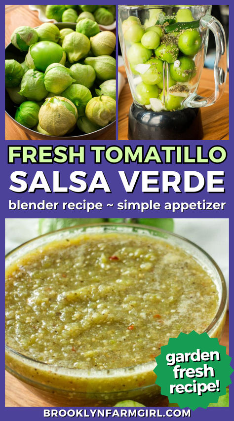 tomatillos filling up a blender over a closeup a clear glass bowl of green salsa Family Taco Night, Summer Party Menu, Summer Vegetable Garden, Mexican Appetizer, Blender Salsa, Blender Recipe, Homemade Garden, Simple Appetizer, Football Parties