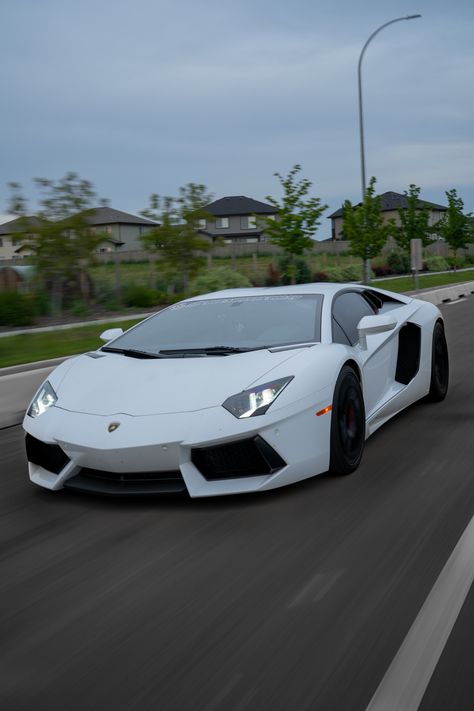 Lamborghini Pics, Lambo Aventador, White Lambo, Tmax Yamaha, Aventador Lamborghini, Lamborghini Cars, White Car, Ferrari Car, Super Luxury Cars