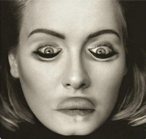 Upside Down Pictures, Photo Illusion, Image Illusion, Adele Pictures, Illusion Kunst, Funny Optical Illusions, Optical Illusions Pictures, Funny Faces Pictures, Funny Illusions