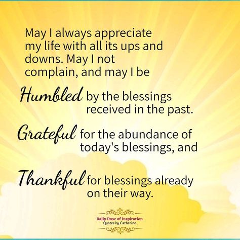 Amen to that 💜💚💜 May I always be grateful for my life, and not complain about the little bumps along the way. ⚘️🌿🖤🙂🖤🙂⚘️🌿    . #thankful #blessed #grateful #life #quotes #BOOMchallenge #quotesbycatherine #dailydoseofinspiration Blessed Day Quotes Faith, Gratitude Quotes Thankful I Am Blessed My Life Is, Blessed Assurance Quotes, Sunday Grateful Quotes, Thank You Blessings Quotes, I Am So Blessed Quotes, Grateful Scripture Quotes, Count My Blessings Quotes, Celebrate Quotes Inspirational