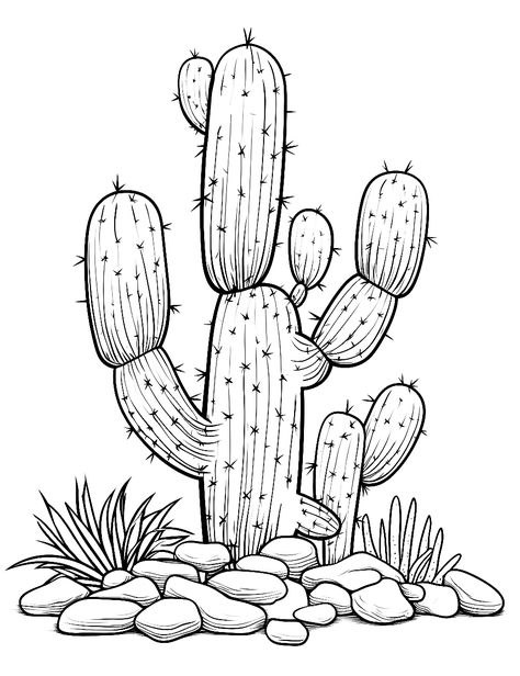 Cactus with Desert Rocks: A cactus surrounded by interestingly shaped desert rocks and pebbles. (Free Printable Coloring Page for Kids) How To Draw A Cactus, Longhorn Skull Drawing, Cactus Drawings, Cactus Outline, Desert Rocks, Desert Scenes, Rock Cactus, Desert Trees, Desserts Drawing