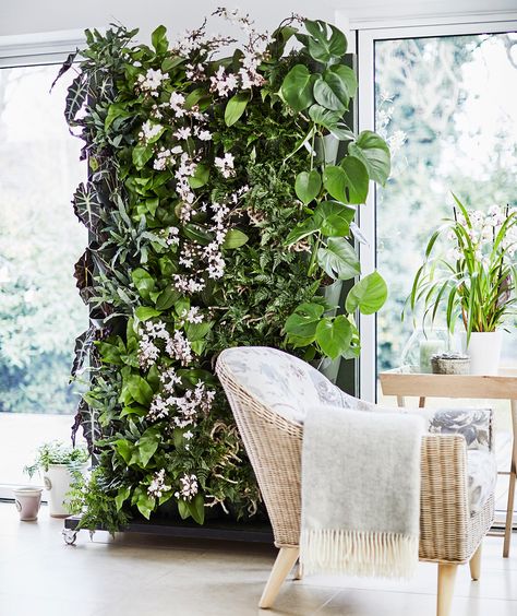 The Living plant wall is one of the hottest new gardening trends of 2018. Create your own piece of plant heaven with this step-by-step guide from Dobbies Plants On The Wall, Living Wall Indoor, Living Wall Planter, Indoor Plant Wall, Interior Boho, Gardens Of Babylon, Vertical Garden Indoor, Plant Wall Decor, Living Room Plants