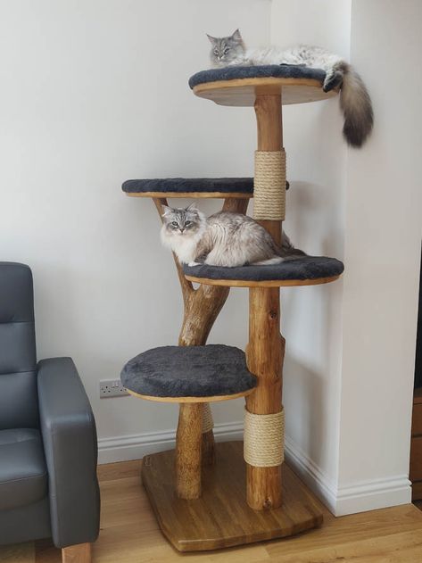 Cat Condo Diy, Cat Trees Homemade, Cat Scratcher Tree, Luxury Cat Tree, Cat Room Decor, Wooden Cat Tree, Cat Climbing Tree, Diy Cat Tree, Modern Cat Tree