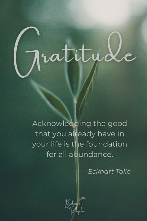 Eckhart Tolle Quotes, Grateful Quotes, Inspiration Quote, Inspirational Quotes God, Van Dijk, Gratitude Quotes, Yoga Quotes, Christian Quotes Inspirational, Daily Inspiration Quotes