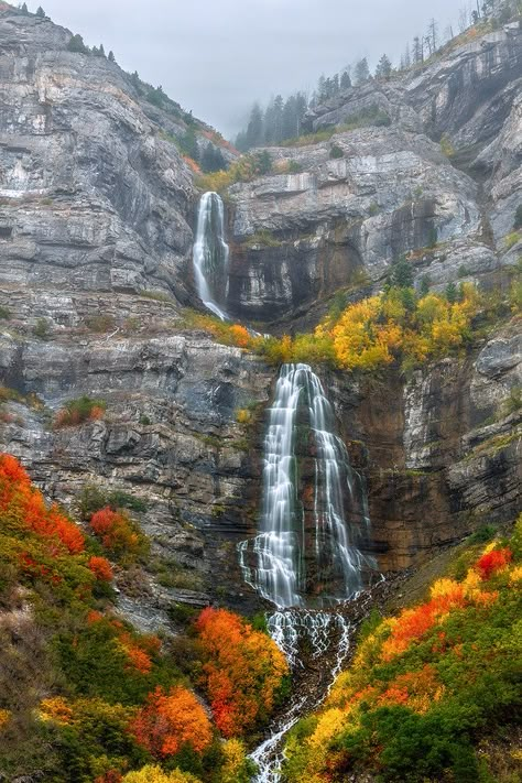 Bridal Veil Plant, Scenery Beach, Phuket Island, Bridal Veil Falls, Adventure Vacation, Fairy Queen, Water Falls, Nature Scenery, Salt Lake City Utah