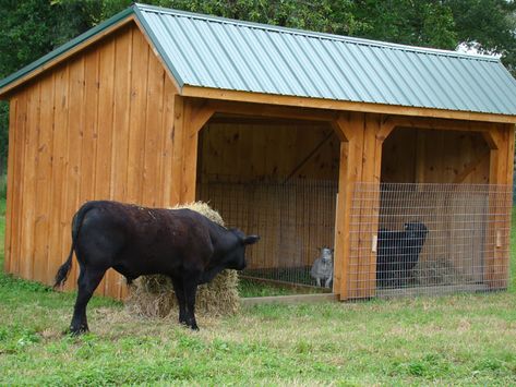 log cow shelters | This is a well constructed, economical choice for sheltering mid to ... Cow House Farms, Diy Cow Shelter, Cow Pen Ideas, Cow Shelter Ideas, Cattle Shelter, Cow Shelter, Contemporary Barndominium, Goat Shelters, Small Hobby Farm