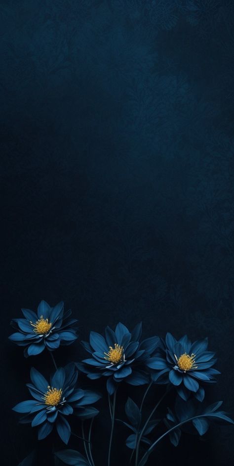 Beautiful Blue Background, Dark Blue Background Wallpapers, Blue Flowers Wallpaper Iphone, Black And Blue Wallpaper Aesthetic, Pretty Wallpapers Blue, Black Flower Background, Blue Nature Wallpaper, Flowers Background Wallpapers, Black Blue Wallpaper