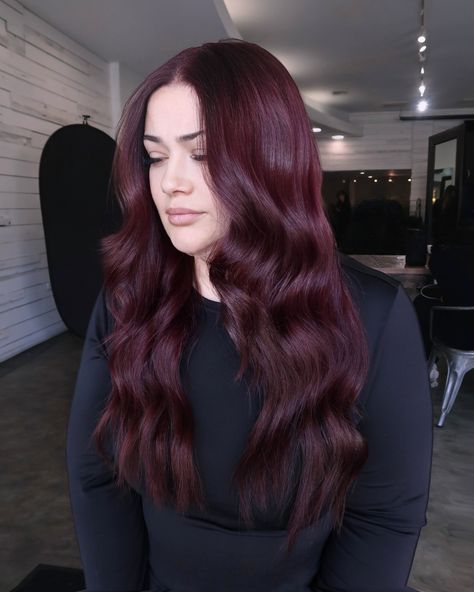 Cherry Cola Purple Hair, Cool Burgundy Hair Color, Dark Purplish Red Hair, Jaclyn Hill Red Hair, Fair Skin Hazel Eyes Hair Color, Wine Burgundy Hair Color, Sangria Hair Color, Purple Wine Hair, Burgundy Plum Hair