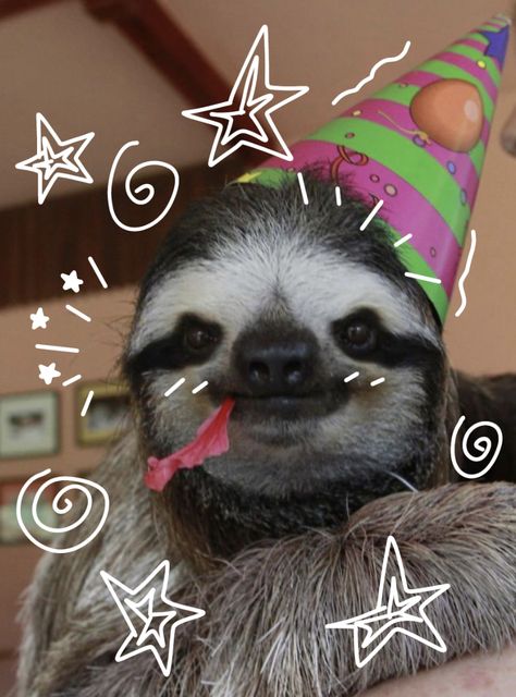 Sloth Doodle, Sloth Wallpaper, Pfp Pics, Wish Board, Sloths Funny, Baby Sloth, So Silly, Wild Animals, Sloth