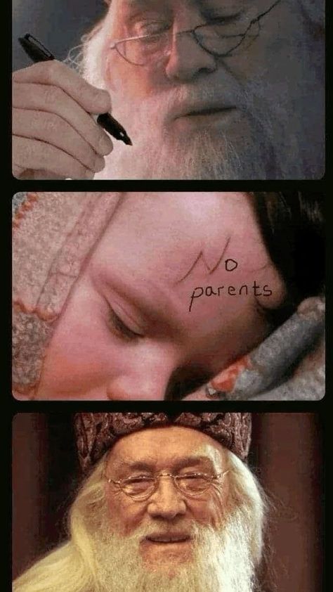 Harry Potter Humor, Funny Harry Potter Jokes, Harry Potter Memes Hilarious, Harry Potter Puns, Funny Harry Potter, Harry Potter Pictures, Movie Memes, Harry Potter Things, Harry Potter Jokes