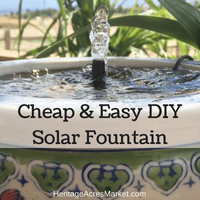 When was the last time $15 made you REALLY happy, on a daily basis, and helped you save electricity? Probably close to never. But I’m here to fix that. Check out this solar powered fountain w… Diy Solar Water Fountain, Solar Fountain Ideas, Diy Solar Fountain, Bird Fountain, Solar Powered Fountain, Diy Water Feature, Solar Water Fountain, Fountain Ideas, Diy Water Fountain