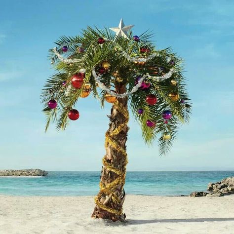 Merry Christmas                                                                                                                                                                                 More Caribbean Christmas, Christmas Palm Tree, California Christmas, Florida Christmas, Beachy Christmas, Hawaiian Christmas, Coastal Holiday, Tropical Christmas, Beach Please