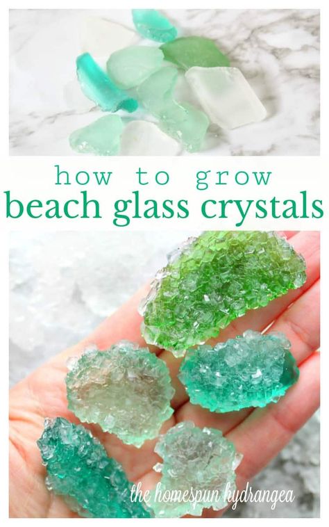 The Best Unique DIY Borax Crystal Ideas Borax Crystals, Growing Crystals, Beach Glass Crafts, Sea Glass Crafts, Crystal Crafts, Diy Crystals, Beach Crafts, Seashell Crafts, Sea Glass Art