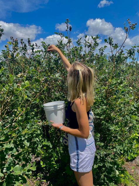 Picking Blueberries Aesthetic, Blueberry Farm Aesthetic, Blueberry Field Photoshoot, Blueberry Picking Pictures, Blueberry Picking Photoshoot, Blueberry Picking Aesthetic, Blueberry Picking Outfit, Indigo Blue Aesthetic, Blueberry Girl Aesthetic