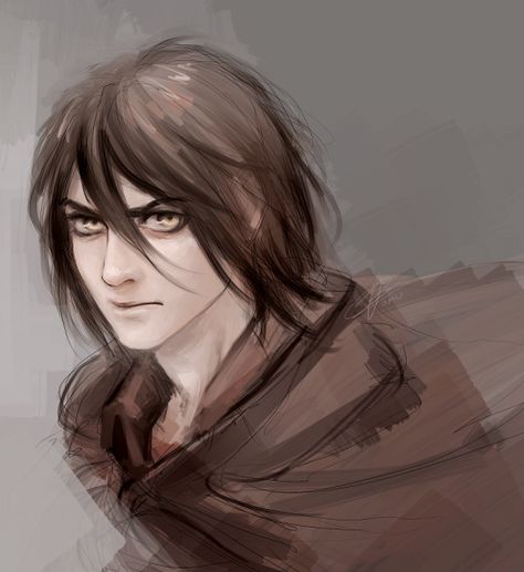 Eren with titan hair Ren Allsbrook, Facial Scars, Throne Of Glass Fanart, Celaena Sardothien, Crown Of Midnight, Empire Of Storms, Throne Of Glass Series, Eren Yeager, Male Characters