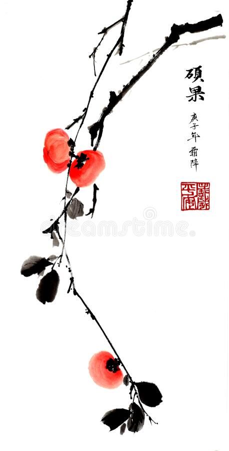 Chinese traditional distinguished gorgeous decorative hand-painted ink-Persimmon vector illustration Japanese Ink Painting, China Ink, Chinese Drawings, Zen Painting, Chinese Artwork, Rene Gruau, Chinese Ink Painting, Sumi E Painting, Traditional Chinese Art