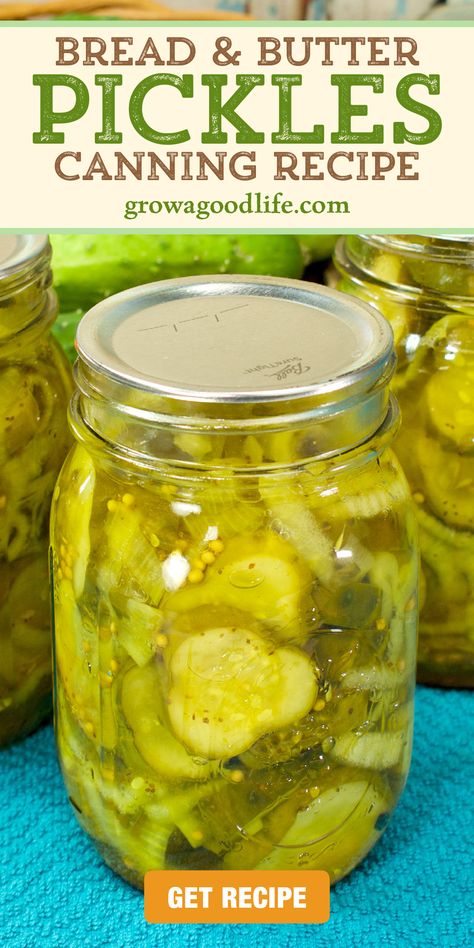 Bread And Butter Pickles Homemade Easy, Bread And Butter Pickles Canning, Bread And Butter Pickle Recipe, Canning Sweet Pickles, Homemade Bread And Butter Pickles, Pickles Homemade Easy, Bread And Butter Pickles Recipe, Canning Pickles Recipe, Pickling Cucumbers Recipe