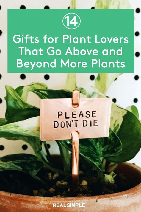 14 Gifts for Plant Lovers That Go Above and Beyond More Plants | Want to show a plant lover you care? You can find that just-right gesture through their love of plants. We gathered the best gift ideas for every type of plant lover. #holidaygifts #realsimple #diygifts #giftideas #giftsforher #giftsforhim Plant Related Gifts, Plant Gift For Teacher, Plant Lover Gift Basket, Small Plant Gift Ideas, Plant Lovers Gifts, Diy Gifts For Plant Lovers, Plant Lover Gift Ideas, Plant Gifts Ideas, Plant Gift Ideas Diy