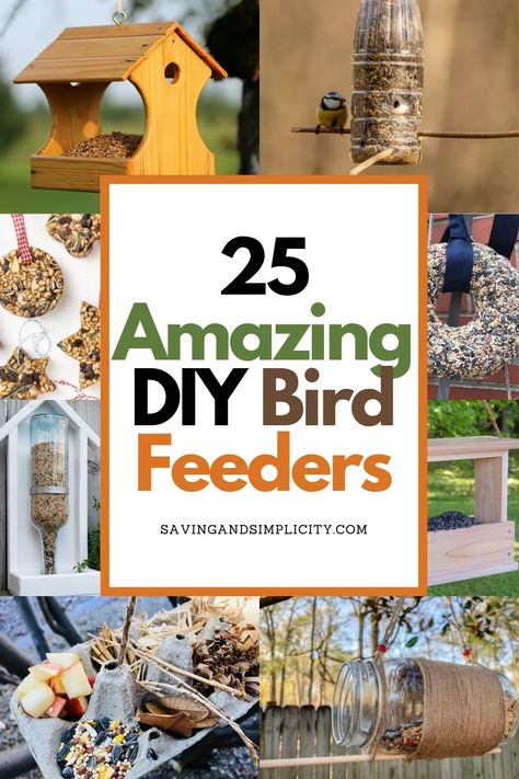 Bird Feeders Craft, Bird Feeder Landscaping, Bird Feeder Station Ideas, Bird Feeders For Kids, Bird Feeder Post, Bird Feeders For Kids To Make, Mason Jar Bird Feeders, Diy Hummingbird Feeder, Bird Feeder Stands