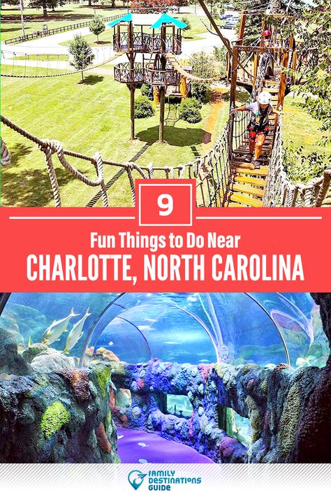 Interested in activities close to Charlotte? Tired of ideas about the top things to do in Charlotte because you’re looking for things NEAR Charlotte? We’re FamilyDestinationsGuide, and we’re here to help: Discover the most fun places to go, the top places to visit, and the best things to do near Charlotte, NC - so you get memories that last a lifetime! #charlotte #charlottearea #charlottethingstodo #charlottewithkids #charlotteactivities #nearcharlotte #charlottetravel Fall In Charlotte Nc, Charolette North Carolina Things To Do In, Charollete North Carolina, Charlotte Nc Nightlife, Hidden Gems In Charlotte Nc, Hiking Near Charlotte Nc, Charlotte Nc Outfits, Hikes Near Charlotte Nc, Things To Do Charlotte Nc