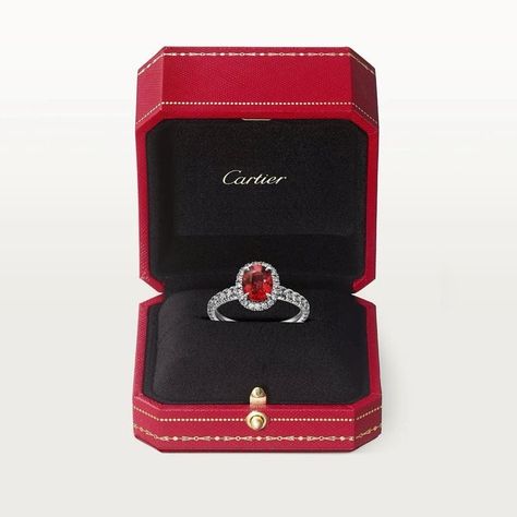 Cartier Gold Ring, Expensive Jewelry Luxury, Colored Stone Rings, Cartier Jewelry, Expensive Jewelry, Classy Jewelry, Jewelry Lookbook, Fancy Jewelry, Girly Jewelry