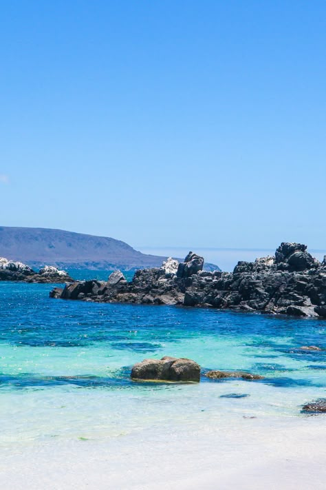 Beautiful beach at Bahia Inglesa, Chile Chile Beaches, Chile Trip, Chile South America, South America Trip, America Do Sul, Country Photography, Atacama Desert, Patagonia Chile, Chile Travel