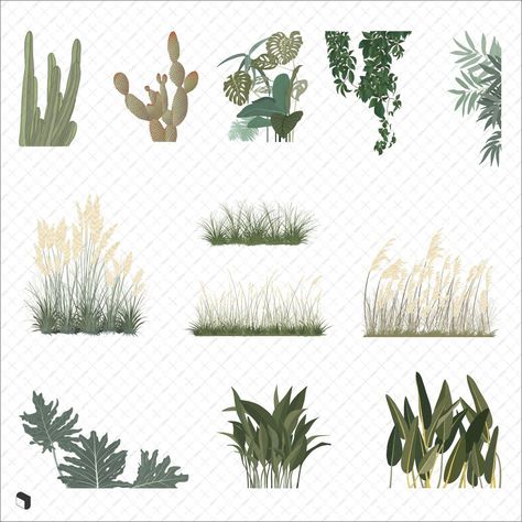 Flat Vector Scene Plants #brushprocreate #brushesillustrator #photoshopbrushes #vectorbrushes #brushesinstagram #facebookbrushes #brushesdownload #brushesfree Architecture Illustration Photoshop, Plants Photoshop, Plants Vector, Plant Drawings, Landscape Architecture Graphics, Architectural Plants, Photoshop Rendering, Landscape Architecture Drawing, Tree Plan