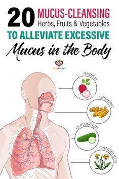 Excessive mucus in the body is irritating and uncomfortable. These 20 mucus cleansing herbs, fruit, and vegetables can help eliminate it. #mucus #excessivemucus #mucuscleanse #freedomfrommucus #mucusproblems #phlegm #mucuscleansingfoods #mucusreliefremedies #mucusinthroat #remedies #wellness #health Mucus In Throat, Getting Rid Of Mucus, Cleansing Herbs, Mucus Relief, Getting Rid Of Phlegm, Best Cough Remedy, Lung Cleanse, Lung Detox, Lung Health