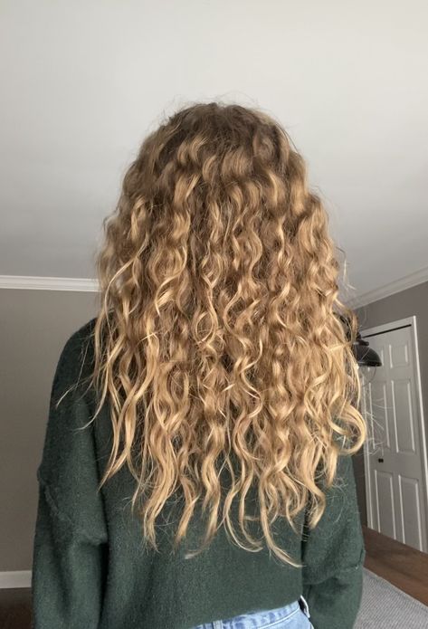 Blonde Curly Balayage Natural, Long Textured Wavy Hair, Long Blond Curly Haircut, Blonde Highlights On Blonde Hair Curly, Curly Blonde And Brown Hair, Naturally Curly Blonde Balayage, Beach Blonde Curly Hair, Blonde Hair On Curly Hair, Blonde Curly Hair Layers