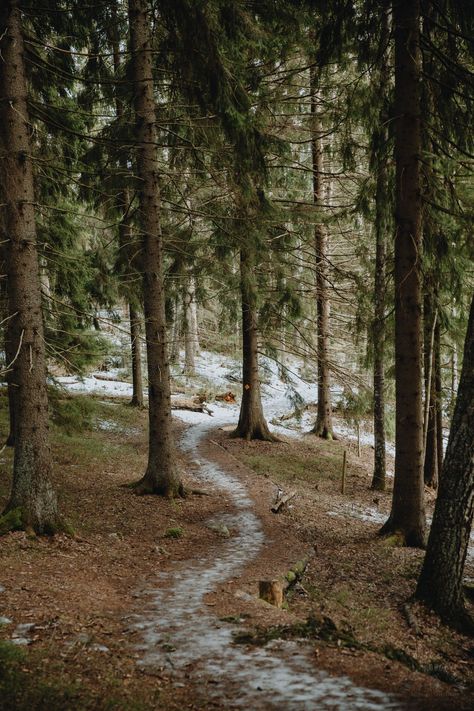 Sipoonkorpi Winter Hiking: Byabäcken Nature Trail - In the Woods, Dear Nature Woods Aesthetic, Walks In The Woods, Running In The Forest Aesthetic, Living In The Woods Aesthetic, Winter Walks Aesthetic, Wood Working Aesthetic, Hiking Aesthetic Winter, Winter Woods Aesthetic, Winter Hike Aesthetic