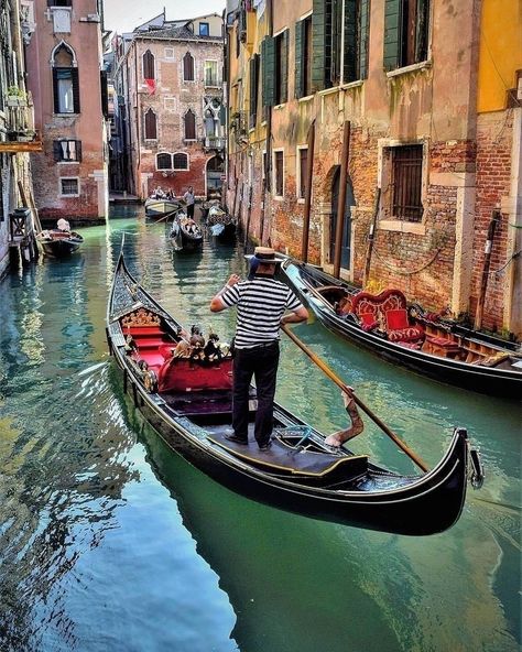 Gondola Venice, Gondola Boat, Venice Italy Gondola, Venice Italy Photography, Birds Photography Nature, Gondola Ride, Italian Beauty, City Painting, Boat Art