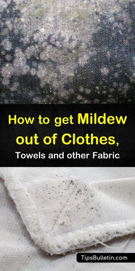 Mold Out Of Clothes, Mold On Clothes, Remove Mold Stains, Remove Mold, Mildew Remover, Mildew Stains, Cleaning Mold, Cleaning Stuff, Deep Cleaning Tips