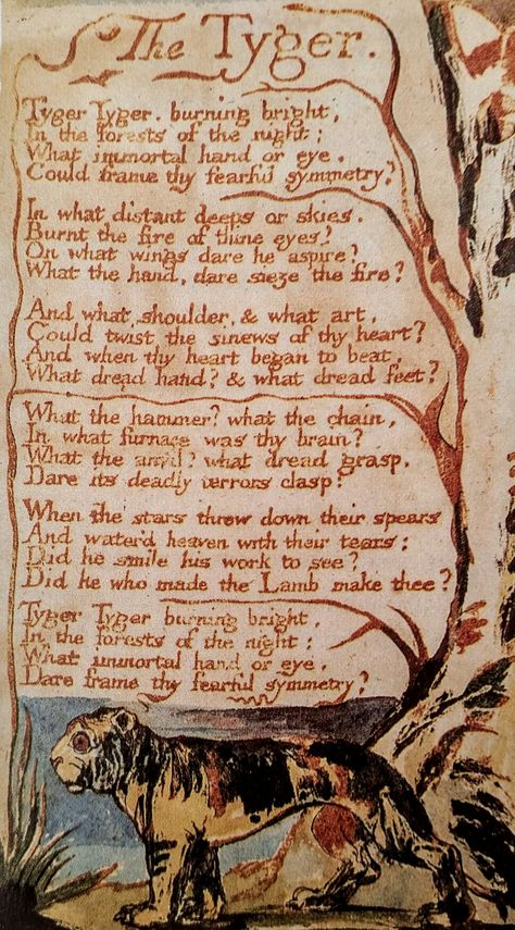 The Tyger William Blake, Tiger Spirit Animal, Songs Of Innocence, Tiger Spirit, Amazing Wallpaper, William Blake, Poetry Art, Homeschool Art, Writing Poetry