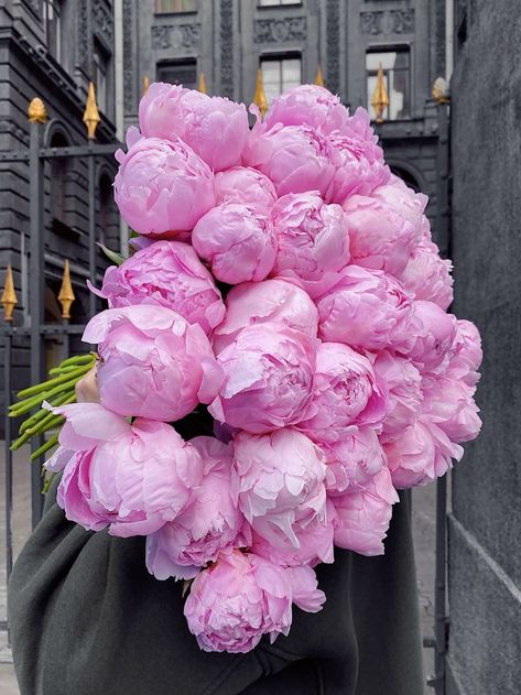 Peony Colors, Blooming Bouquet, Luxury Flower Bouquets, Flowers Peonies, Flower Gift Ideas, Modern Flower Arrangements, Flower Shower, Peonies Bouquet, Flower Therapy