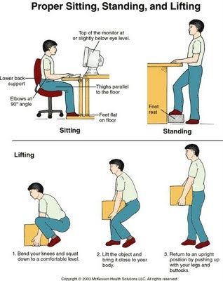 Proper sitting lifting techniques Physical Therapist Assistant, Physical Therapy Assistant, Therapy Exercises, Body Mechanics, Physical Therapy Exercises, Massage Benefits, Online Therapy, Occupational Therapist, Anatomy And Physiology