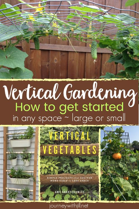 Growing vertical vegetables doesn't require a large garden. You can grow vertically in raised beds, containers, or your garden bed. These vertical gardening tips will get you started, and this DIY gardening book, Vertical Vegetables, will help you DIY vertical gardening no matter your space and budget. #verticalgardening #verticalgarden Grow Vertically, Vertical Container Gardening, Garden Trellis Ideas, Diy Container Gardening, Funny Vine, Vertical Vegetable Garden, Vertical Herb Garden, When To Plant, Meteor Garden 2018