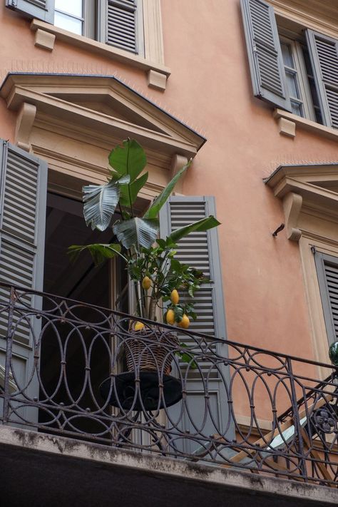 Italian Home Aesthetic, Italian Balcony, Italian Living, Terrace Ideas, My First Apartment, Italian Home, Plant Aesthetic, Lemon Tree, Loft Apartment