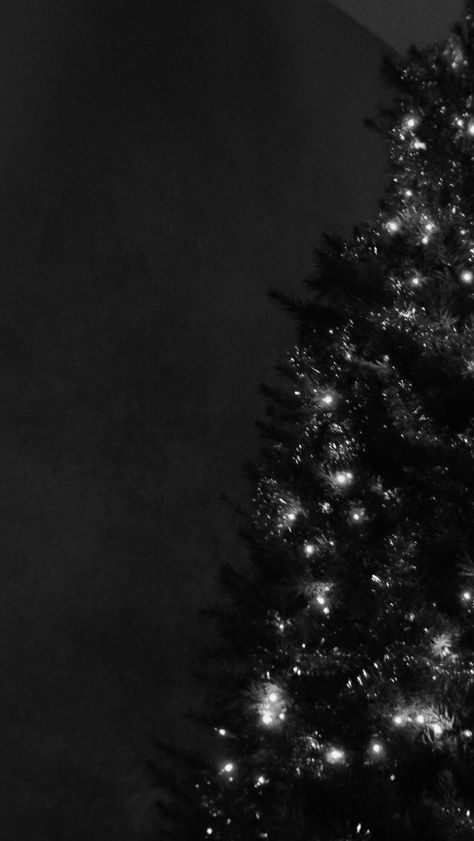 Winter Goth Aesthetic Photos - Dark Christmas Vibes Dark Christmas Aesthetic Wallpaper, Gothic Christmas Aesthetic, Black Christmas Decor, Winter Goth, Christmas Lockscreen, Gothic Christmas, Christmas Aesthetic Wallpaper, Xmas Wallpaper, Dark Christmas