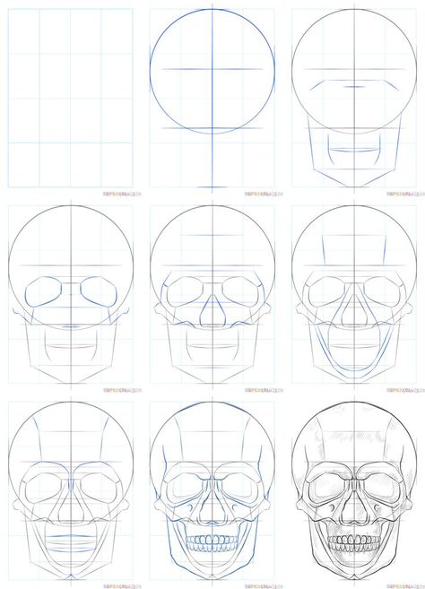 Skull For Drawing, How To Skull Drawing, Skull Ideas Drawings, Drawing The Skull, Skull Drawing How To, How To Draw A Human Skull, How To Draw Human Skeleton, How To Sketch A Skull, Skull Sketch Tutorial