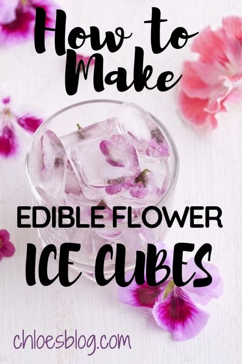 Edible Flowers for All Seasons - How to Make Edible Flower Ice Cubes Floral Ice Cubes, Flower Ice Cubes, Flavored Ice Cubes, Garden Baby Shower Theme, Floral Drink, Brunch Inspiration, Floral Ice, Flower Ice, Coconut Cupcakes